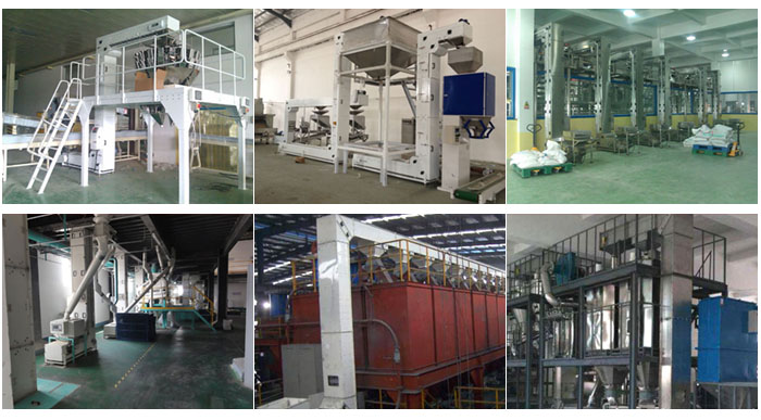 z型斗式提升机食品厂配合包装机输送，输送小麦，碎矿石输送等现场案例展示。